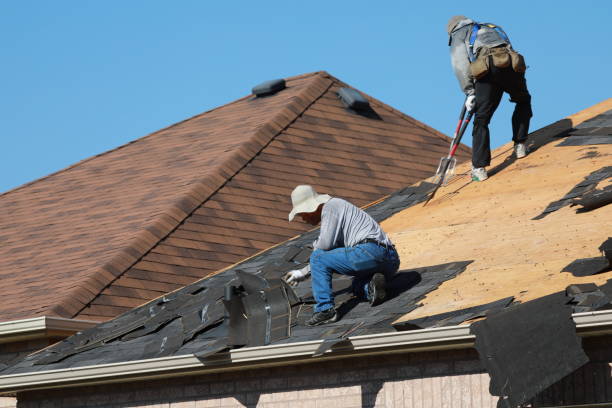 Best Green or Eco-Friendly Roofing Solutions  in Elgin, SC